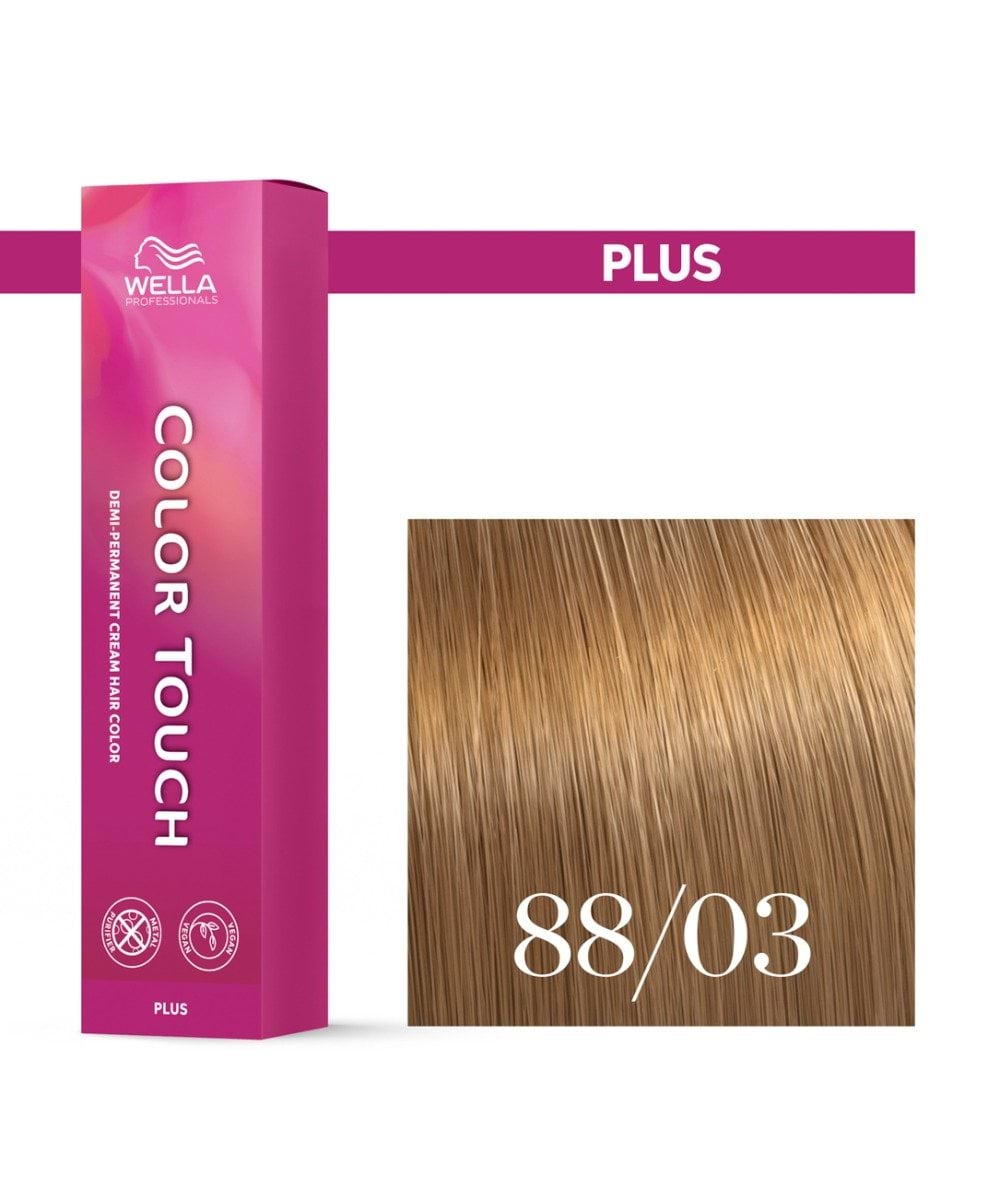 Farba Color Touch Plus 88/03, 60 ml