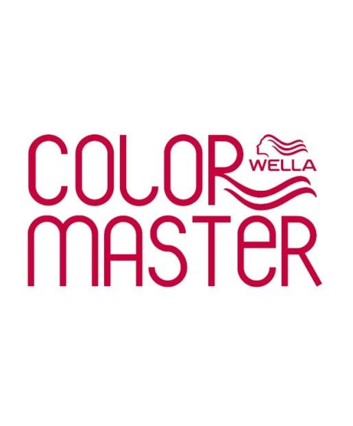 CM Szkolenie salonowe Wella Professionals z instruktorem